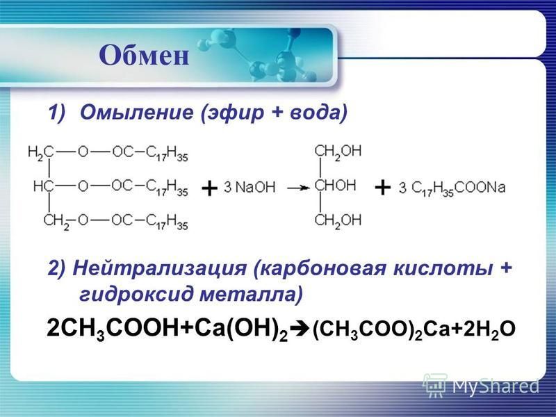 Блэк спрут актуальные